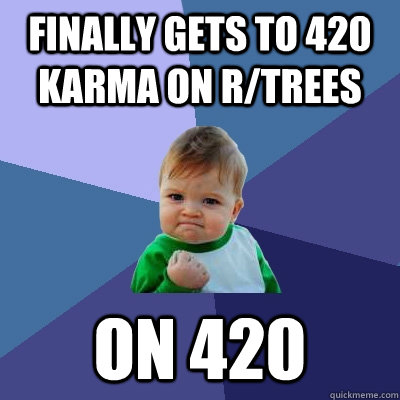 FINALLY GETS TO 420 KARMA ON R/TREES ON 420  Success Kid