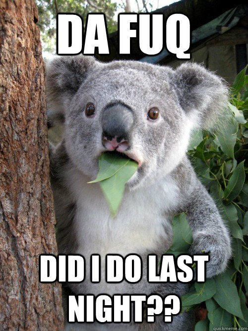 DA fuq did I do last night?? - DA fuq did I do last night??  koala bear