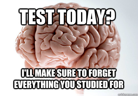 Test today? I'll make sure to forget everything you studied for  - Test today? I'll make sure to forget everything you studied for   Scumbag Brain