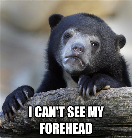  I can't see my forehead  Confession Bear