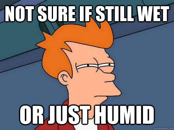 Not sure if still wet Or just humid - Not sure if still wet Or just humid  Futurama Fry