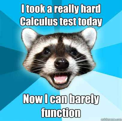 I took a really hard Calculus test today Now I can barely function - I took a really hard Calculus test today Now I can barely function  Lame Pun Coon