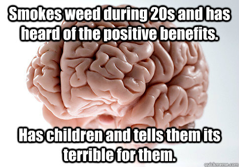 Smokes weed during 20s and has heard of the positive benefits. Has children and tells them its terrible for them.  Scumbag Brain