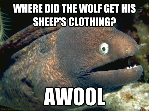 Where did the wolf get his sheep's clothing? Awool  Bad Joke Eel