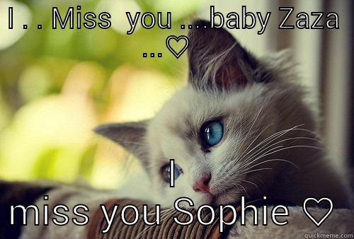 I . . MISS  YOU ....BABY ZAZA ...♡   I MISS YOU SOPHIE ♡ First World Problems Cat