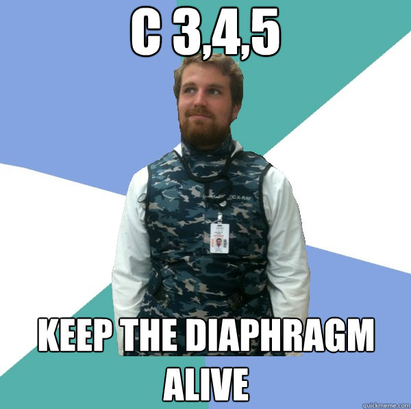 C 3,4,5 Keep the diaphragm alive  Unabridged First Year Medical Student