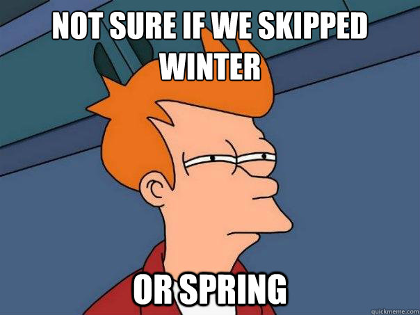 not sure if we skipped
winter or spring  Futurama Fry