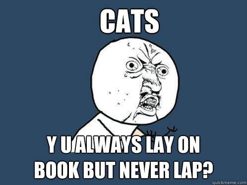 Cats y u always lay on 
book but never lap?  Y U No