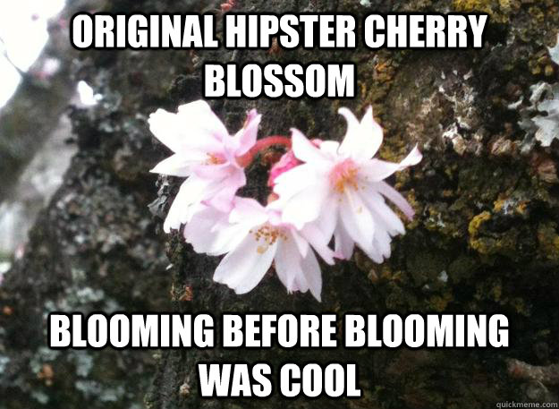 Original Hipster Cherry Blossom  Blooming before blooming was cool - Original Hipster Cherry Blossom  Blooming before blooming was cool  Original Hipster Cherry Blossom