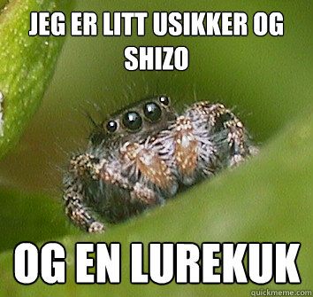 jeg er litt usikker og shizo og en lurekuk  Misunderstood Spider