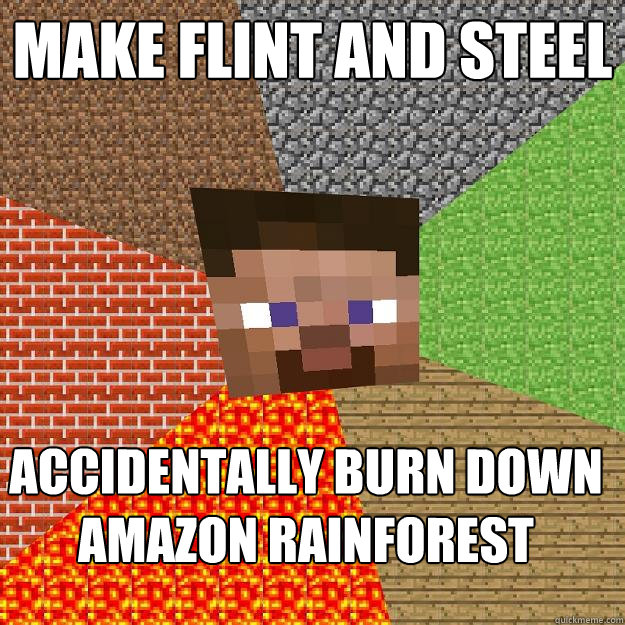 make flint and steel accidentally burn down
amazon rainforest  Minecraft