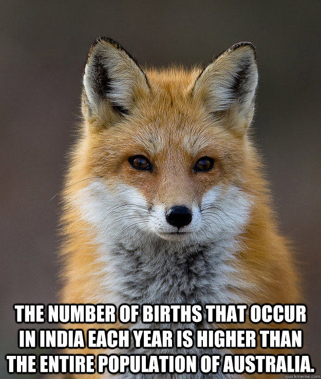  The number of births that occur in India each year is higher than the entire population of Australia.  Fun Fact Fox