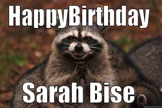 HAPPYBIRTHDAY SARAH BISE Evil Plotting Raccoon