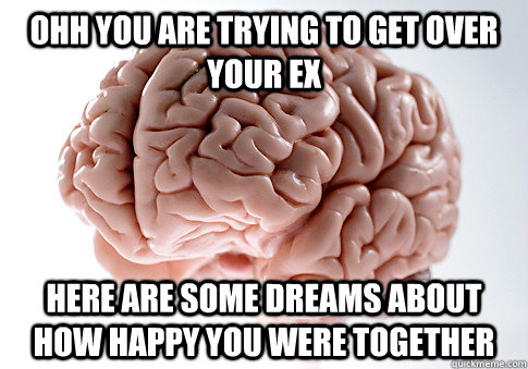 Ohh you are trying to get over your ex Here are some dreams about how happy you were together  Scumbag Brain