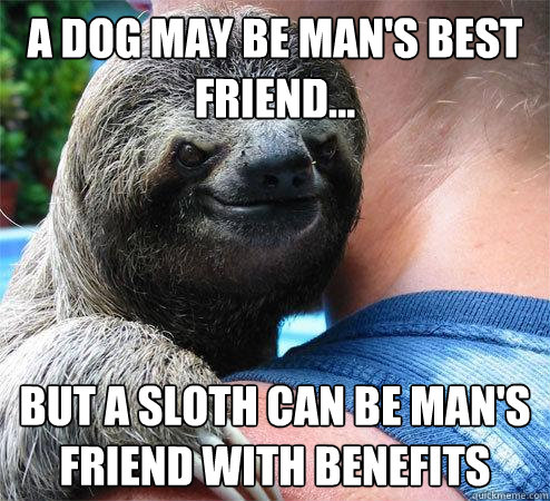 A dog may be man's best friend... but a sloth can be man's friend with benefits  Suspiciously Evil Sloth