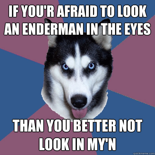 if you'r afraid to look an enderman in the eyes THAN YOU BETTER NOT LOOK IN MY'N  Creeper Canine