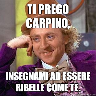 Ti prego Carpino, insegnami ad essere ribelle come te. - Ti prego Carpino, insegnami ad essere ribelle come te.  Condescending Wonka