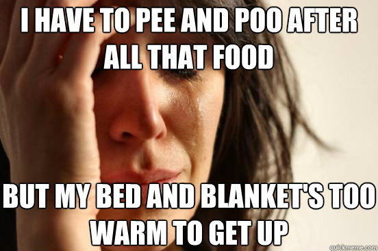 i have to pee and poo after all that food but my bed and blanket's too warm to get up  First World Problems