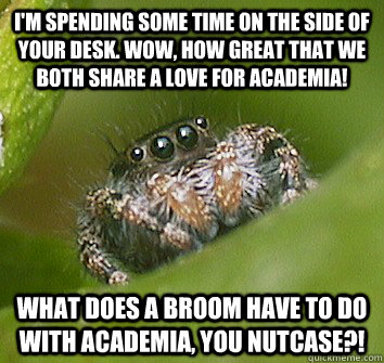 I'm spending some time on the side of your desk. Wow, how great that we both share a love for academia! What does a broom have to do with academia, you nutcase?!  Misunderstood Spider