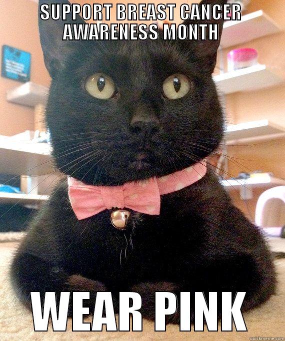 SUPPORT BREAST CANCER AWARENESS MONTH WEAR PINK Misc