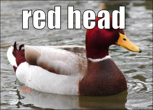 RED HEAD  Malicious Advice Mallard