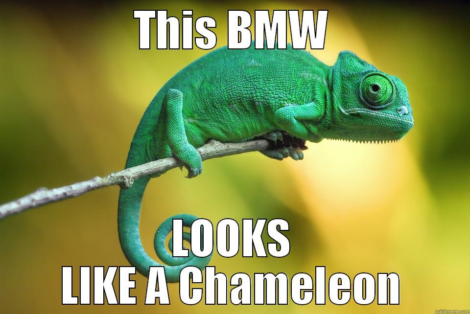 Chameleon Bmw LOL - THIS BMW LOOKS LIKE A CHAMELEON Misc