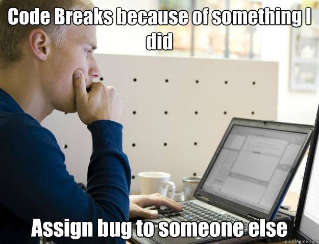 Code Breaks because of something I did Assign bug to someone else  Programmer