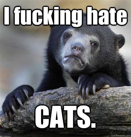 I fucking hate CATS.  Confession Bear