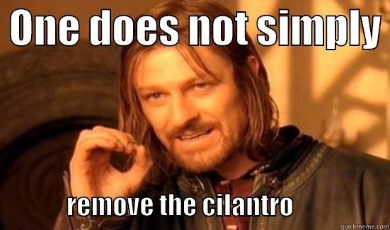  ONE DOES NOT SIMPLY                REMOVE THE CILANTRO                   Boromir