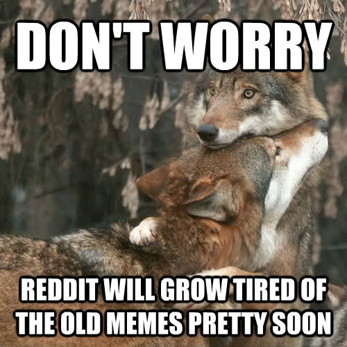 DON'T WORRY REDDIT WILL GROW TIRED OF THE OLD MEMES PRETTY SOON - DON'T WORRY REDDIT WILL GROW TIRED OF THE OLD MEMES PRETTY SOON  Comforting wolf