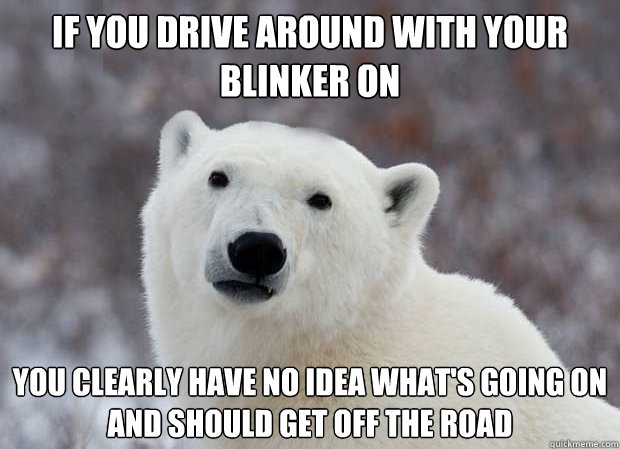 If you drive around with your blinker on You clearly have no idea what's going on and should get off the road  Popular Opinion Polar Bear