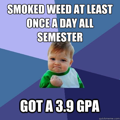 smoked weed at least once a day all semester got a 3.9 gpa  Success Kid