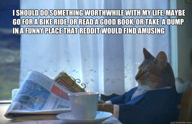 I should do something worthwhile with my life, maybe go for a bike ride, or read a good book, or take  a dump in a funny place that reddit would find amusing  Sophisticated Cat