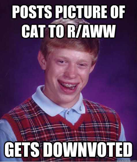 Posts picture of cat to r/aww gets downvoted   Bad Luck Brian