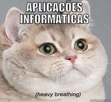 APLICAÇÕES INFORMÁTICAS - APLICAÇÕES INFORMÁTICAS  Misc