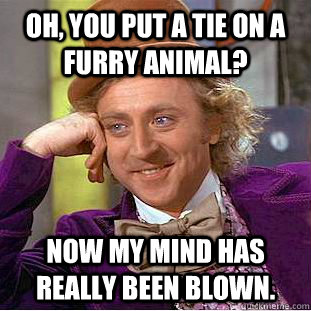 Oh, you put a tie on a furry animal? now my mind has really been blown. - Oh, you put a tie on a furry animal? now my mind has really been blown.  Creepy Wonka