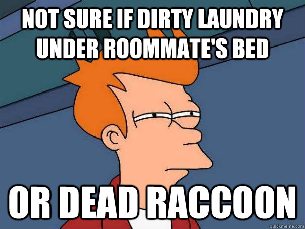 Not sure if dirty laundry under roommate's bed Or dead raccoon  Futurama Fry