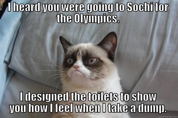 I HEARD YOU WERE GOING TO SOCHI FOR THE OLYMPICS. I DESIGNED THE TOILETS TO SHOW YOU HOW I FEEL WHEN I TAKE A DUMP. Grumpy Cat