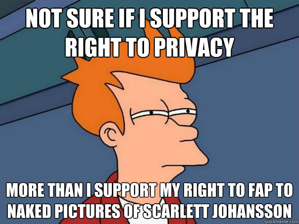 Not sure if I support the right to privacy more than i support my right to fap to naked pictures of Scarlett Johansson   Futurama Fry