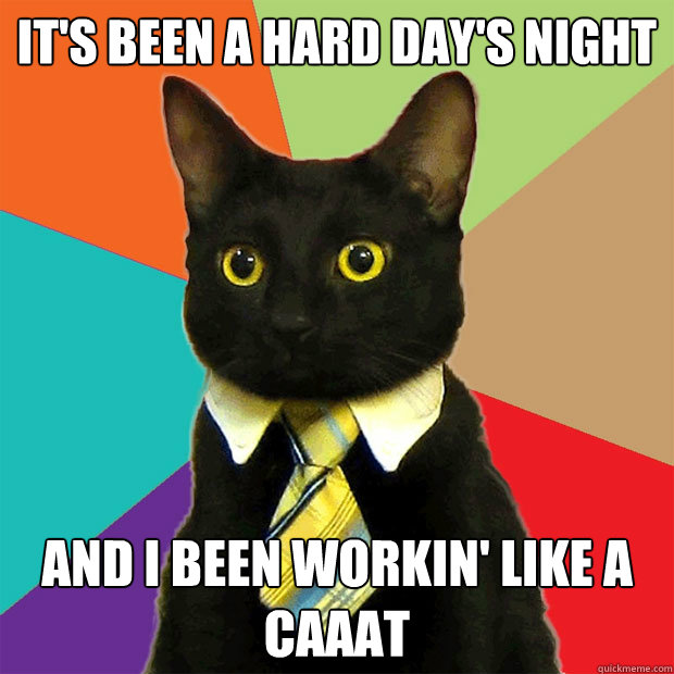 It's been a hard day's night and I been workin' like a caaat - It's been a hard day's night and I been workin' like a caaat  Business Cat