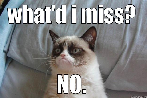 WHAT'D I MISS? NO. Grumpy Cat