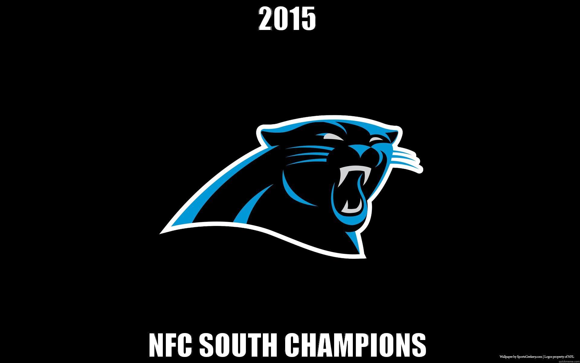 2015 NFC SOUTH CHAMPIONS Misc