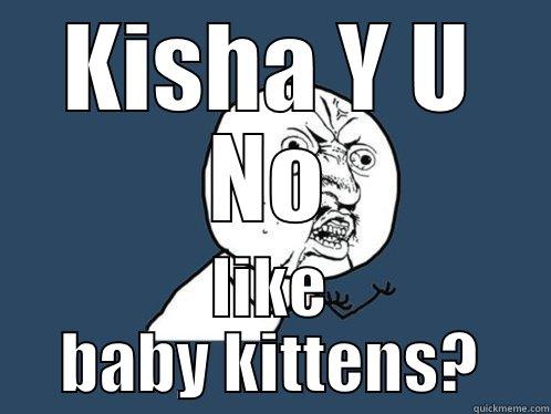  LIKE BABY KITTENS? Y U No