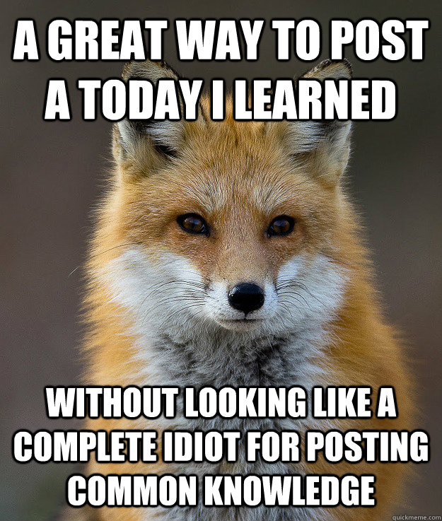 A great way to post a today I learned without looking like a complete idiot for posting common knowledge  Fun Fact Fox