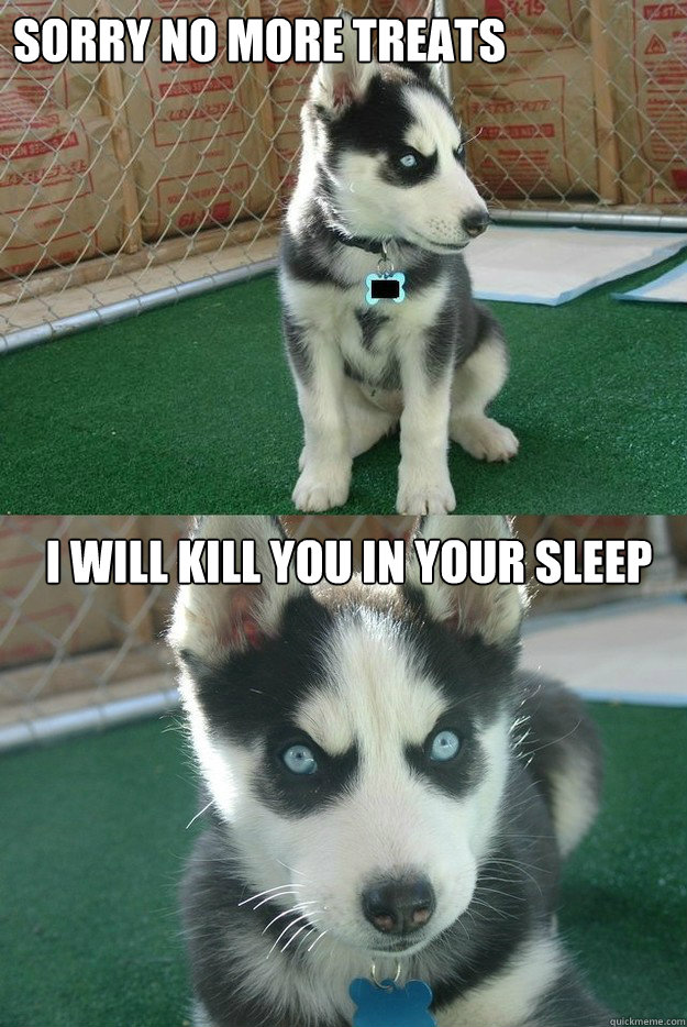 Sorry no more treats I will kill you in your sleep  Insanity puppy