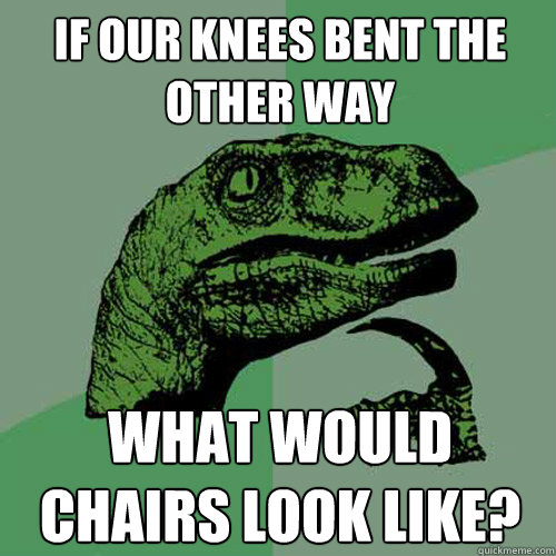 If Our knees bent the other way What would chairs look like?  Philosoraptor