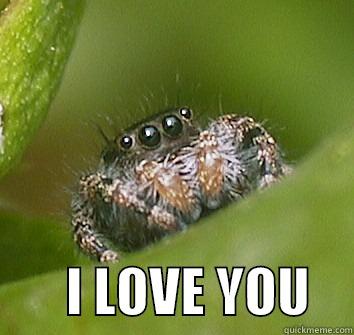         I LOVE YOU    Misunderstood Spider