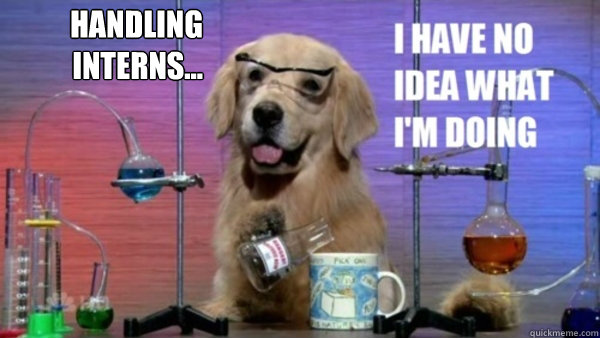 handling Interns...






   science dog