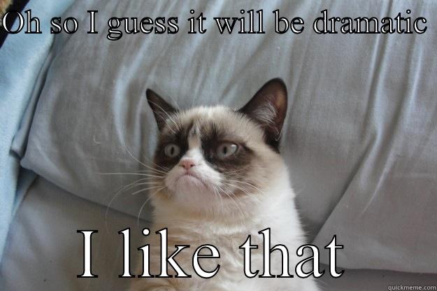 OH SO I GUESS IT WILL BE DRAMATIC  I LIKE THAT Grumpy Cat