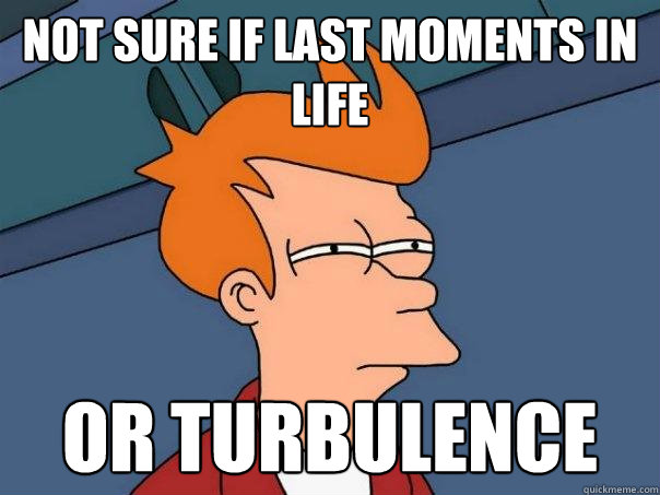 not sure if last moments in life Or turbulence  Futurama Fry